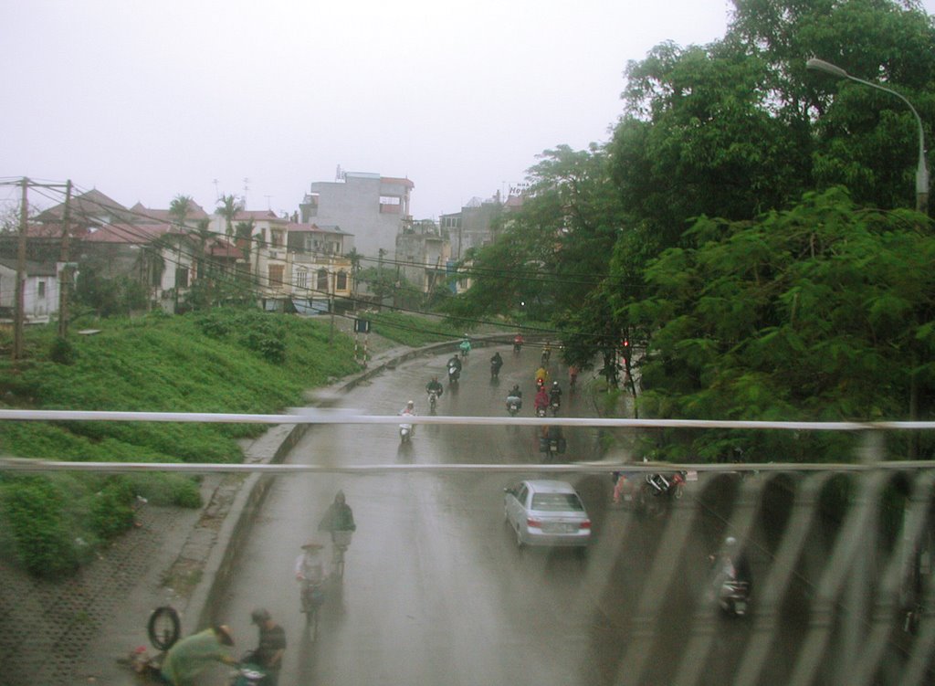 Trong mưa by Tạ Minh Đức (Bút lún phún lông)