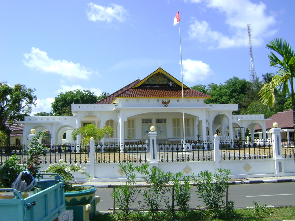 Government Office by anggaadildarmawan