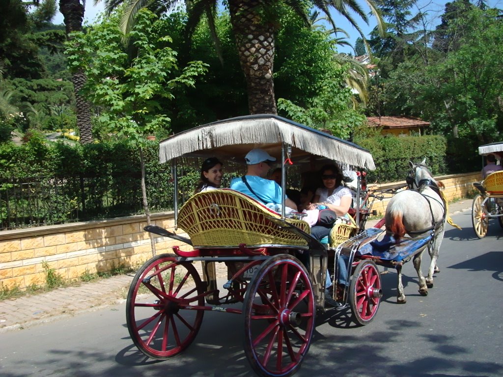 Büyükada da paytonlar by Tarık Hepyasar