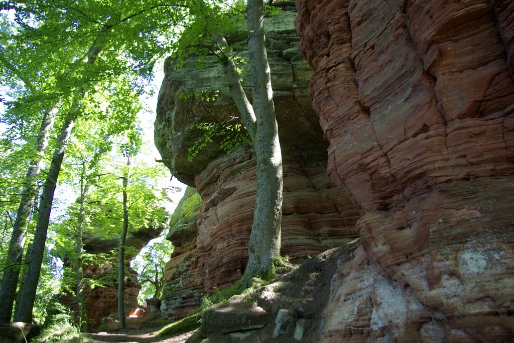 Altschlossfelsen, Pfälzer Wald5 by bilderali