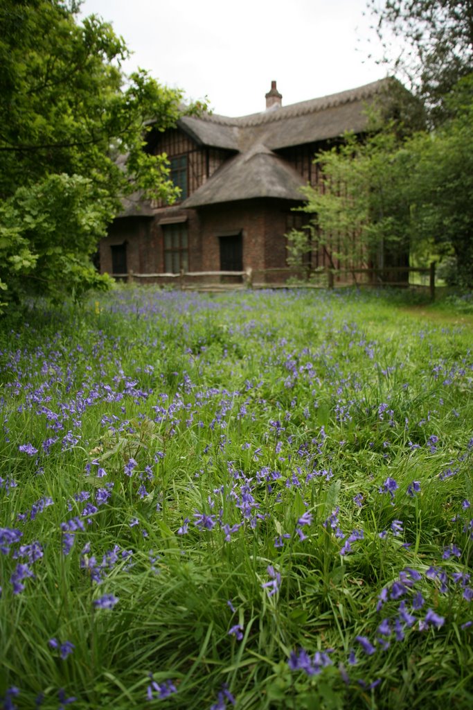 Queen Charlotte's Cottage, Kew Gardens (Royal Botanic Gardens at Kew), Kew, Richmond, London, Great Britain by Hans Sterkendries