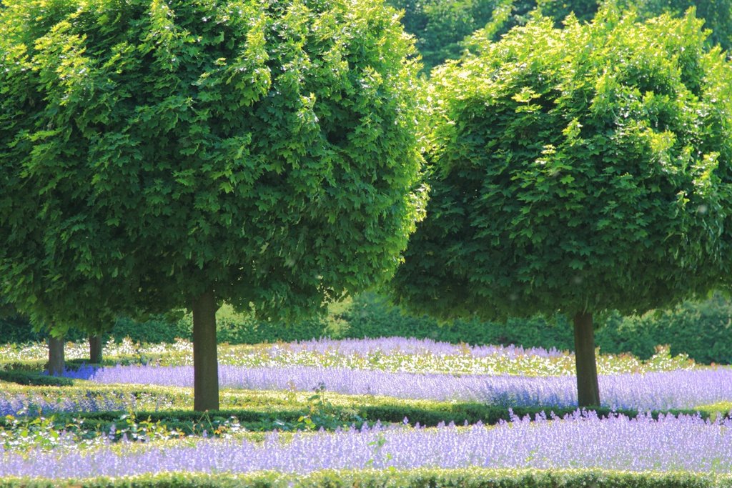 Schlosspark Bad Bentheim by Lisa J.