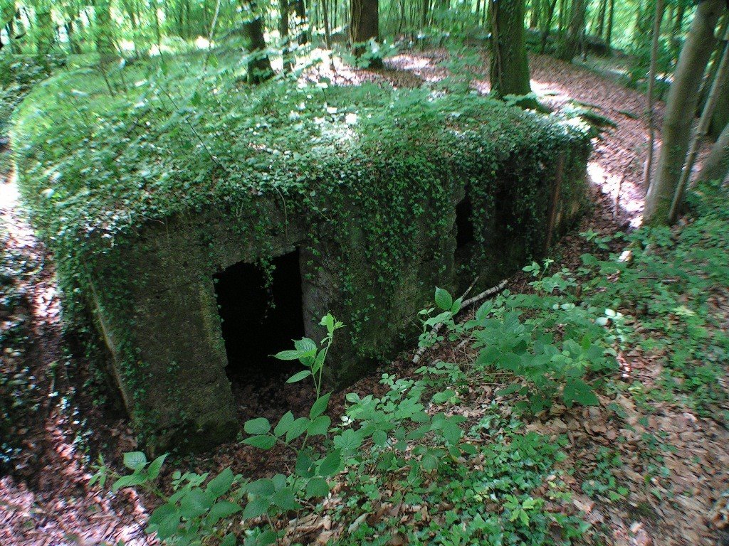 *Vestiges 1914-1918 - Bois du Bel-Orme: Abris du Kronprinz, abri by Hans Briaire