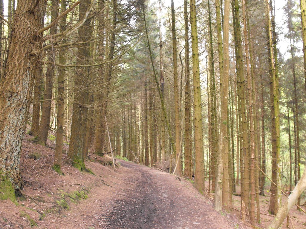 Bridgend, UK by tzimenakis