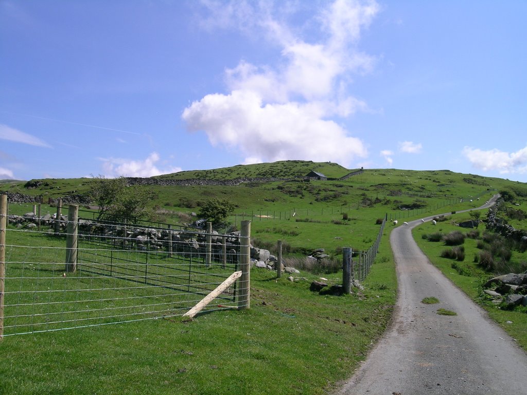 Near Cwm Bychan by Annette Strauch