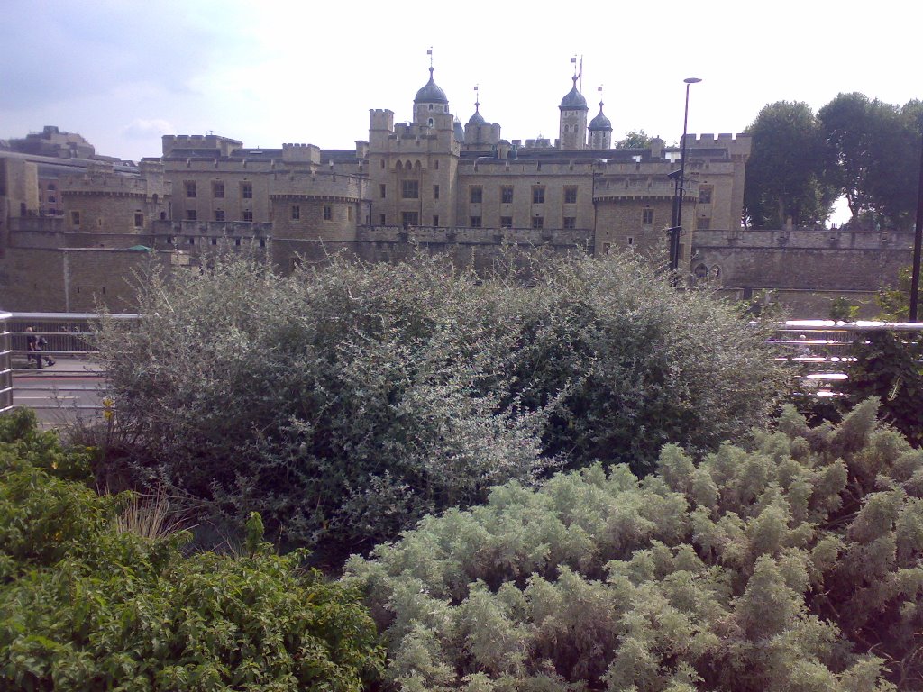 The Tower of London from the east by BMaverick