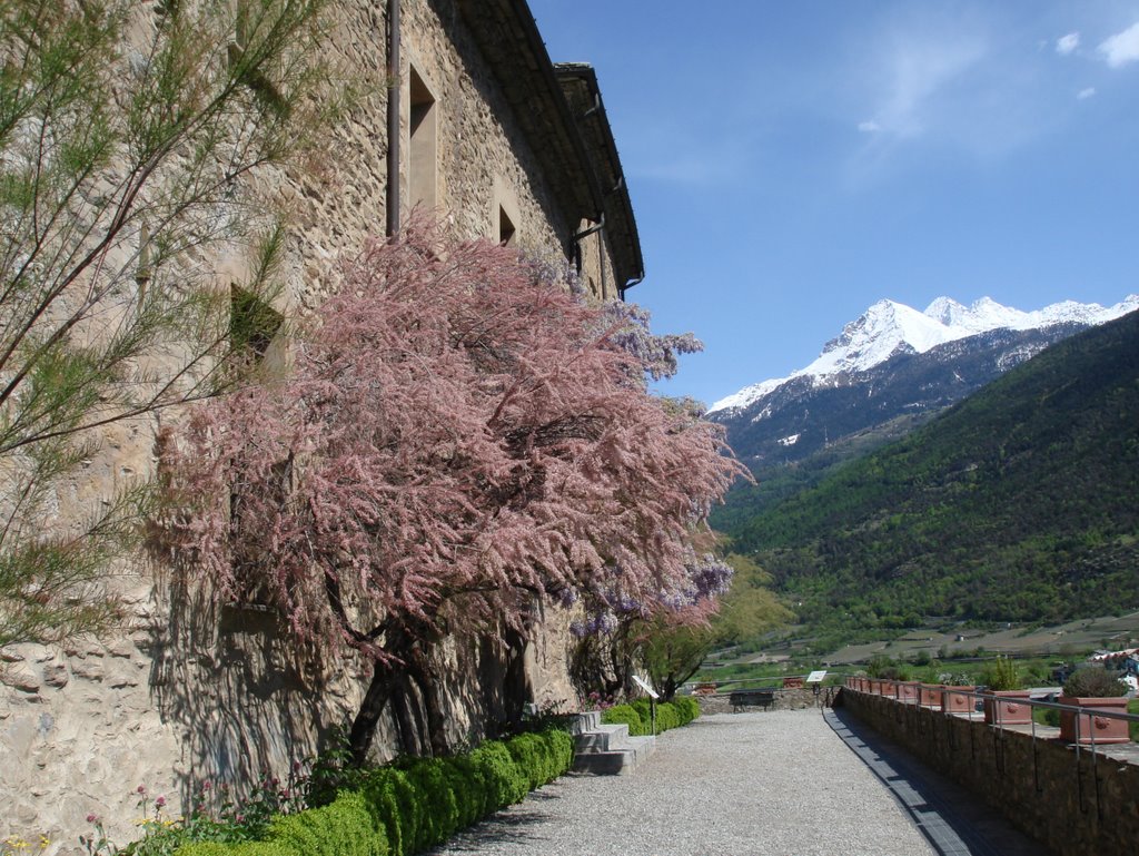 Fine settimana valdostano: Chateau de Sarre ( Aosta ), un tempo residenza estiva delle regine Savoia ( ora museo con cimeli della ex famiglia reale) by effeelle