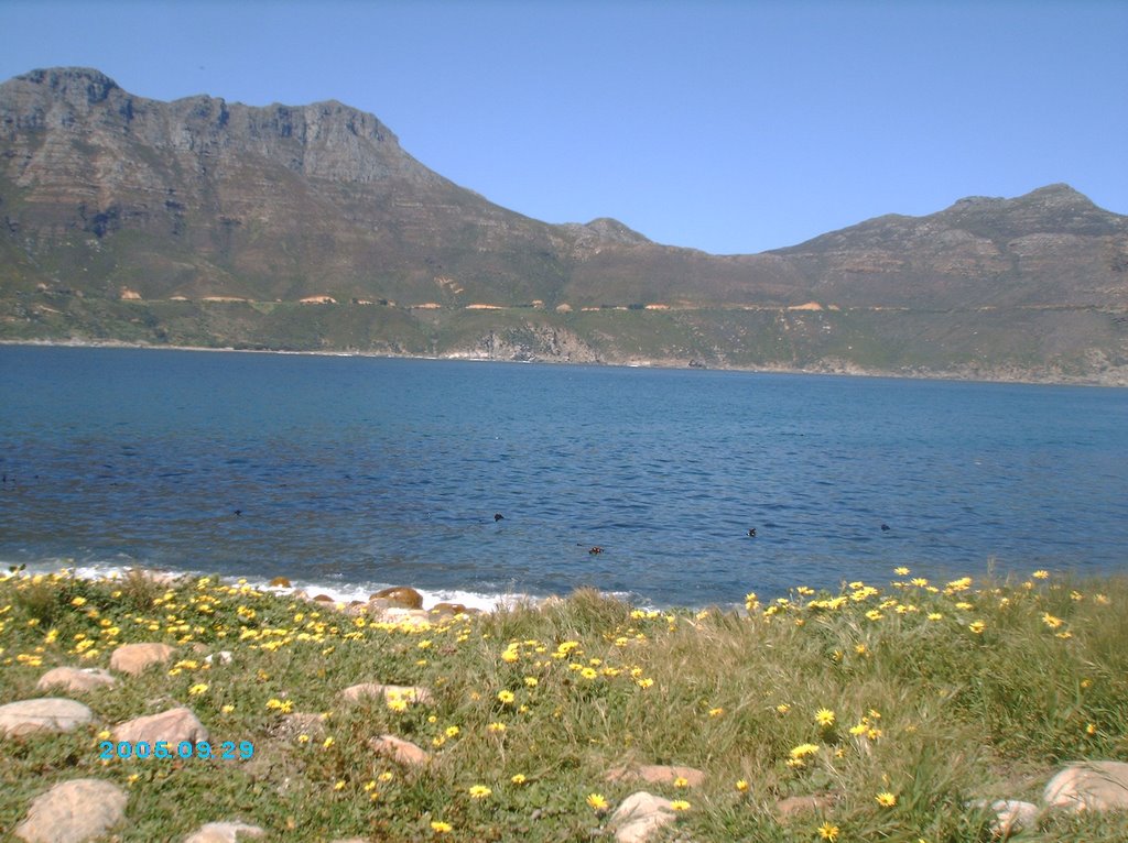 View Of Hout Bay by kinsley2108