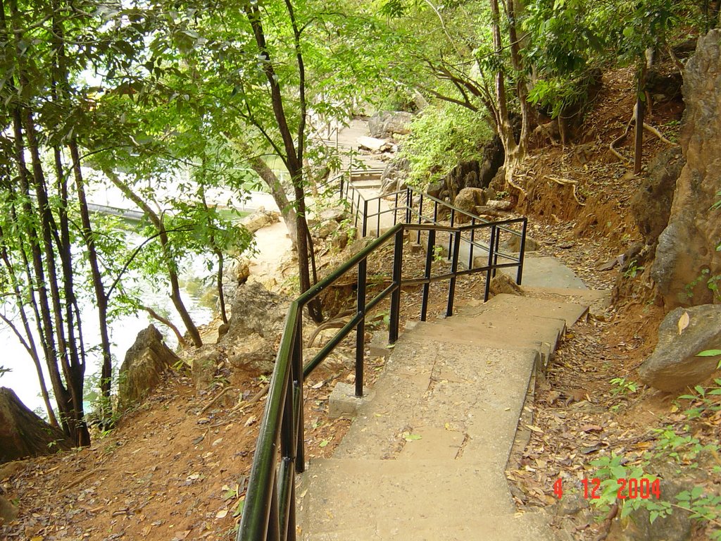 Jungle track at Pulau Dayang, Langkawi by kmyusof