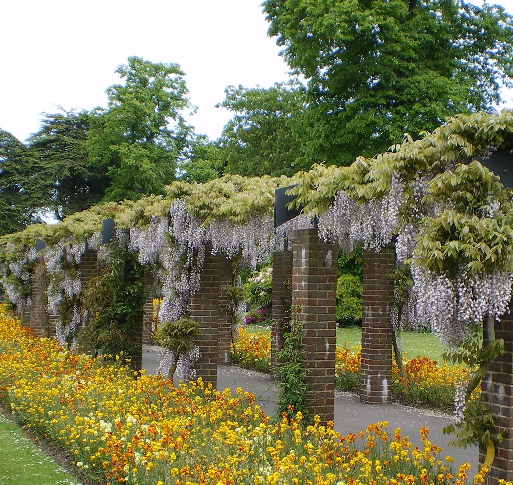 SOUTHAMPTON CITY PARKS UK by chancey3265