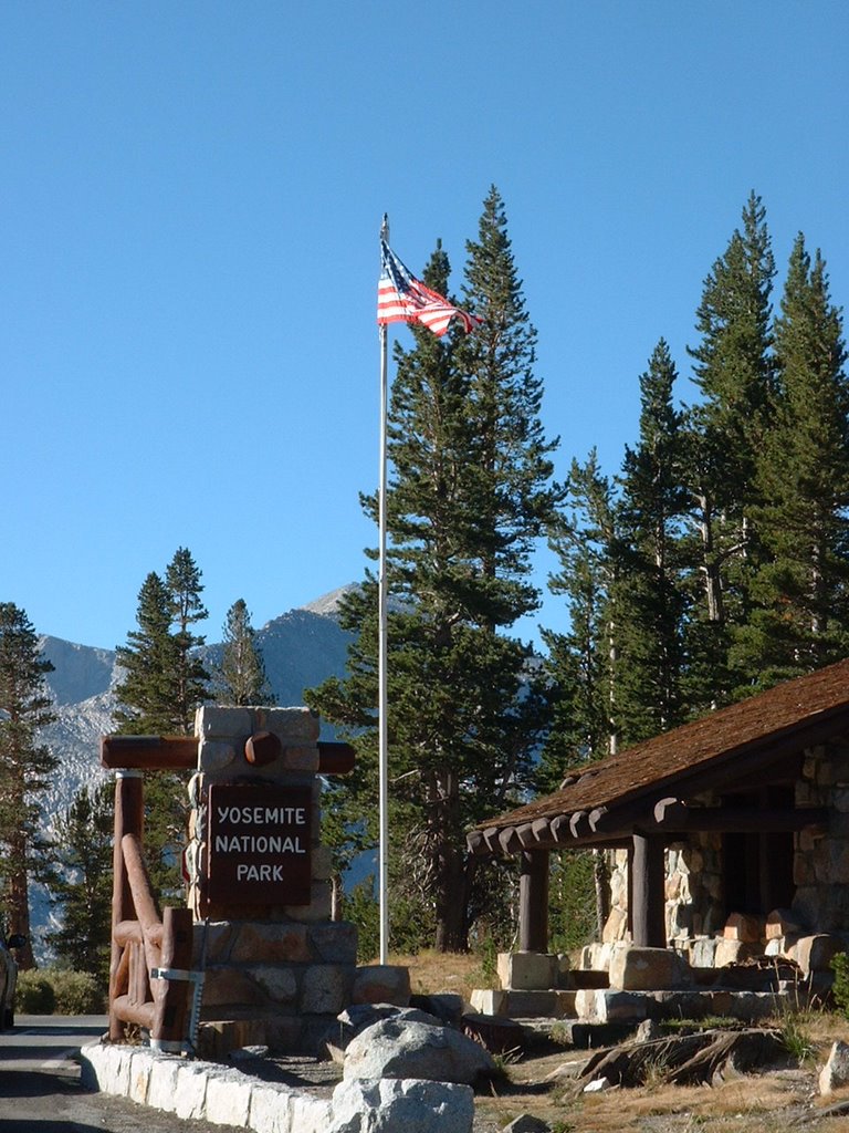 Yosemite National Park by lifeguard74