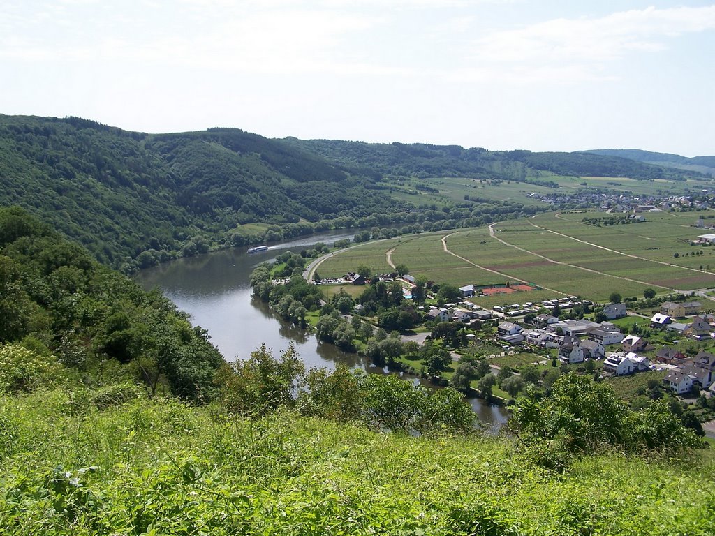 Blick auf die Mosel bei Wolf by Herbert Schiffes