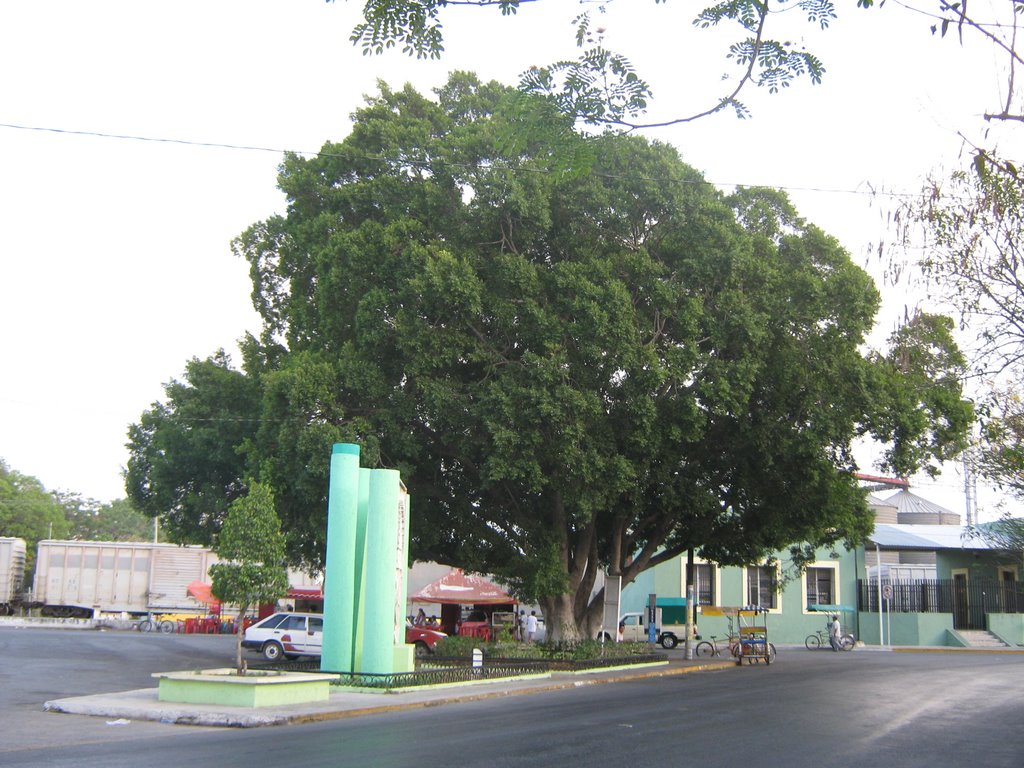 Árbol by José Manuel Repetto Menéndez