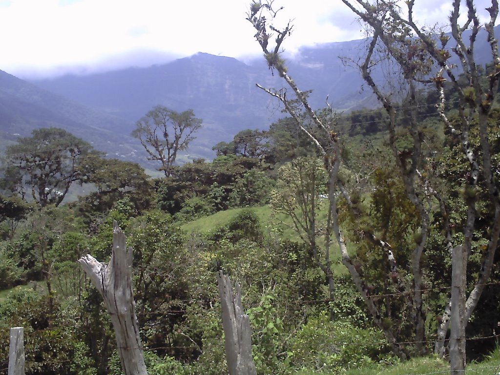 CERRO DE COPAS AL FONDO by angelmiro ortiz