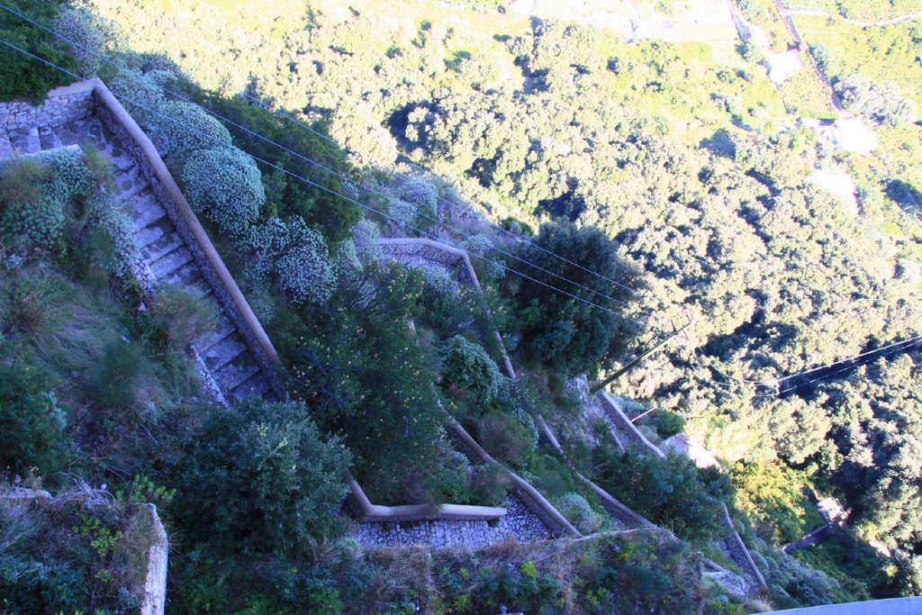 Phoenecian Steps, Capri by Ian @ Wilmar