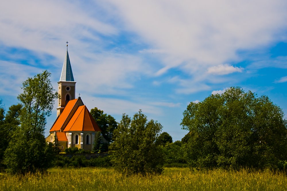 *** by Jerzy Malicki