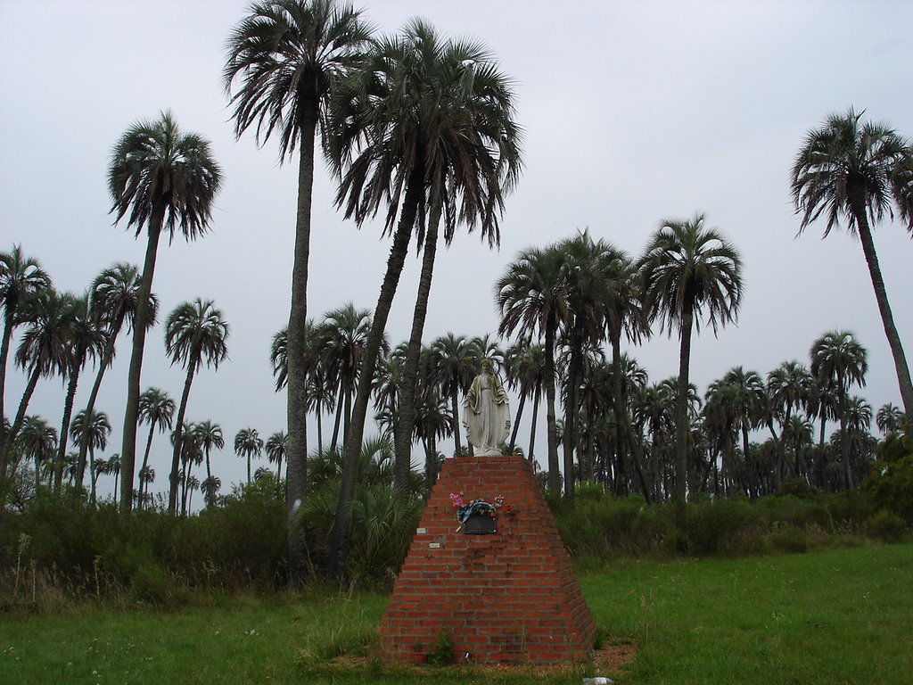 Parque Nacional El Palmar, Entre Ríos (entrada) by jorey