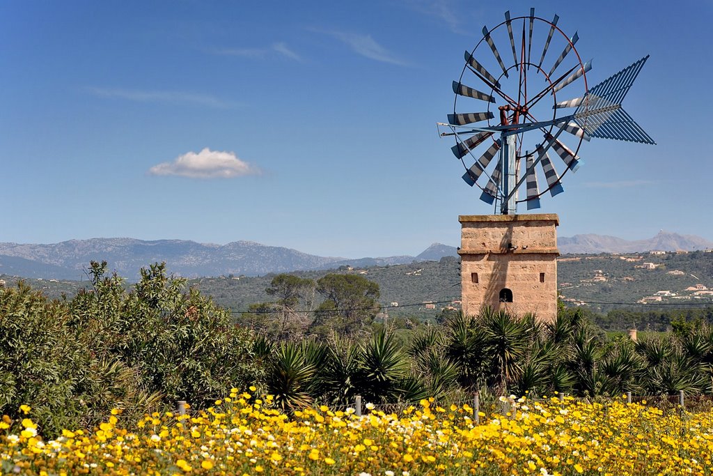 Valley Windmill - Apr.2009 by sebonline