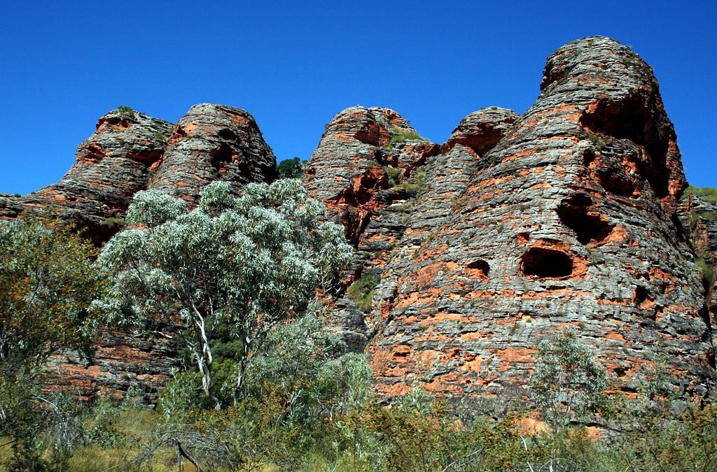 Bungles : Bee Hive Domes by Peter Connolly