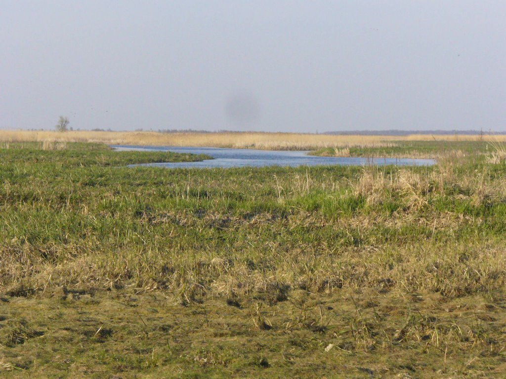 Rzeka Biebrza w Goniądzu by geo573