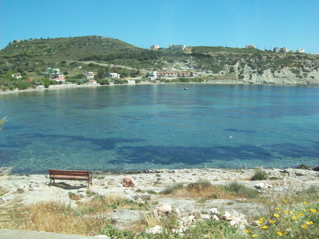 Karaburun_Mimoza by OnurOkyay