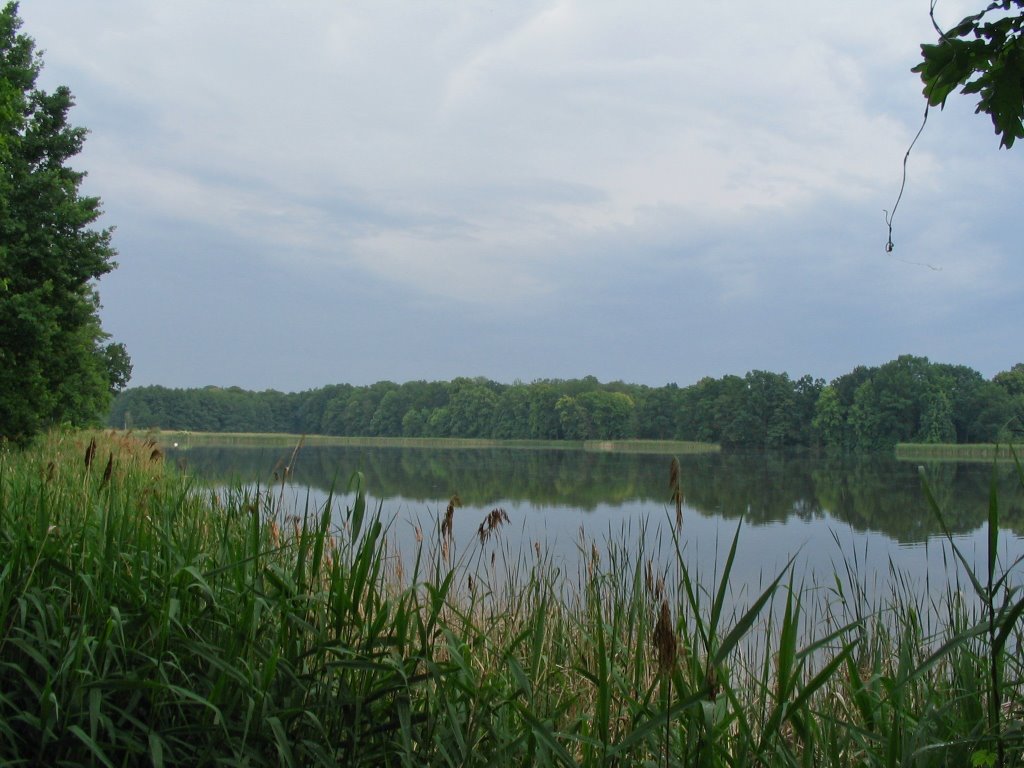 Neuteich by carsten_harnisch