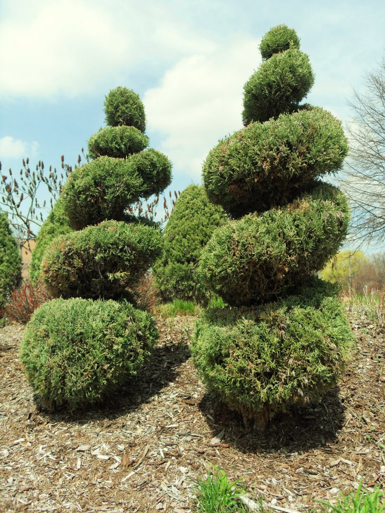 Topiary At Mead Hotel, Wisconsin Rapids by farmbrough