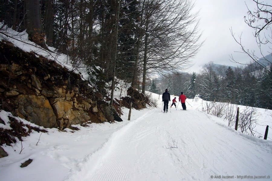 Hohe Winde, Februar 2009 by basis104