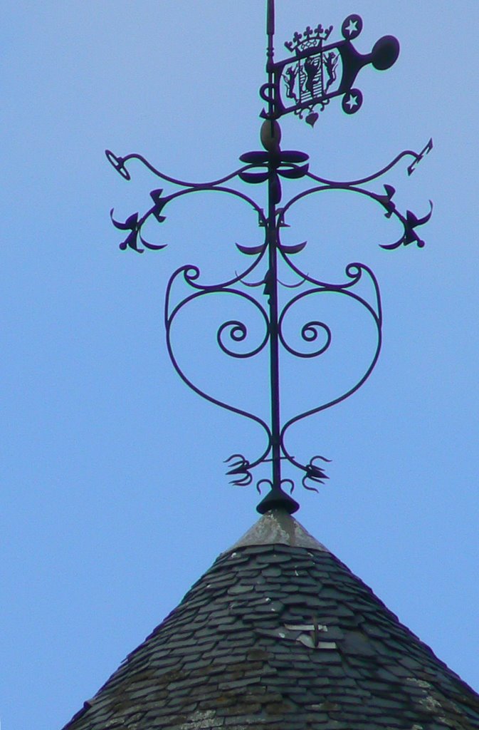 Girouette de toit. Château de Coussac-Bonneval. by Bernard Fontaines