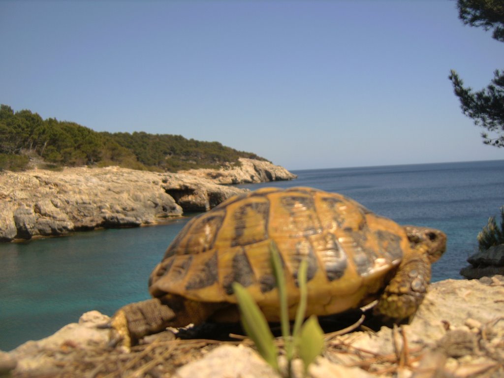 Es Migjorn Gran, Balearic Islands, Spain by j.carlos triay