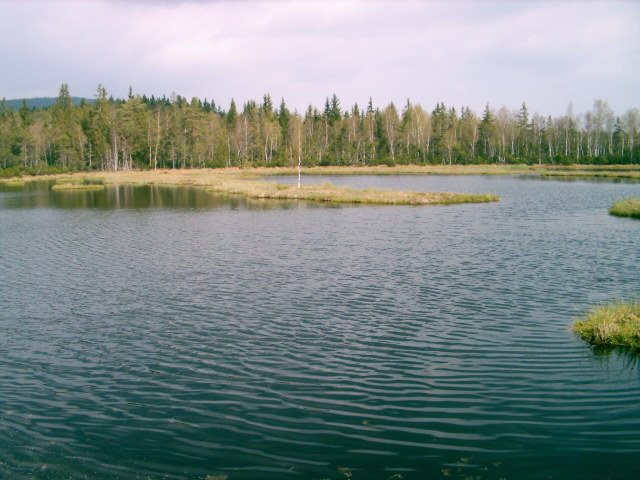 Moorsee bei Borová Lada Tschechischer Nationalpark by Marlau1