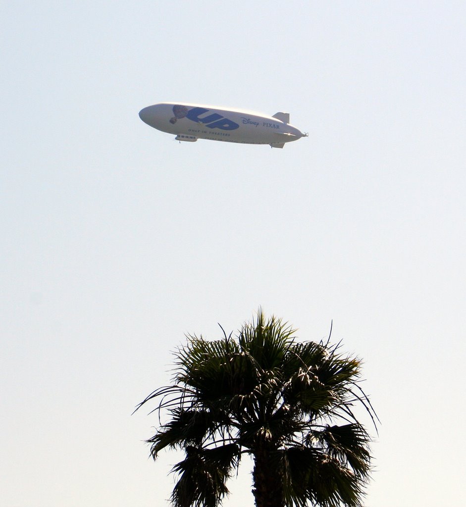 Blimp,Seal Beach, LA, Ca. by alek solo