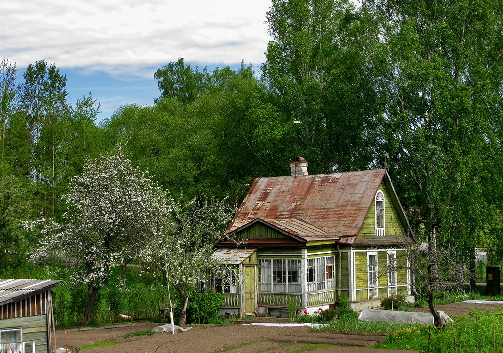 Between Pushkin and Pavlovsk by assedeau