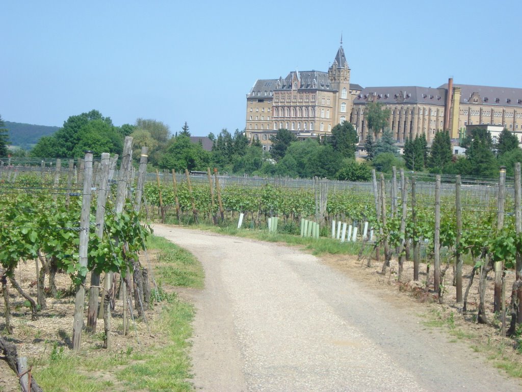 Kloster vor Ahrweiler by josisasch