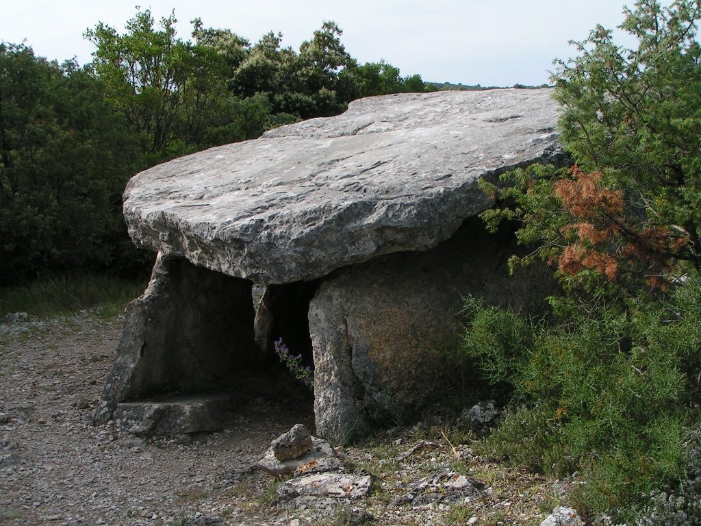 *Dolmen du Champ Vermeil by Hans Briaire