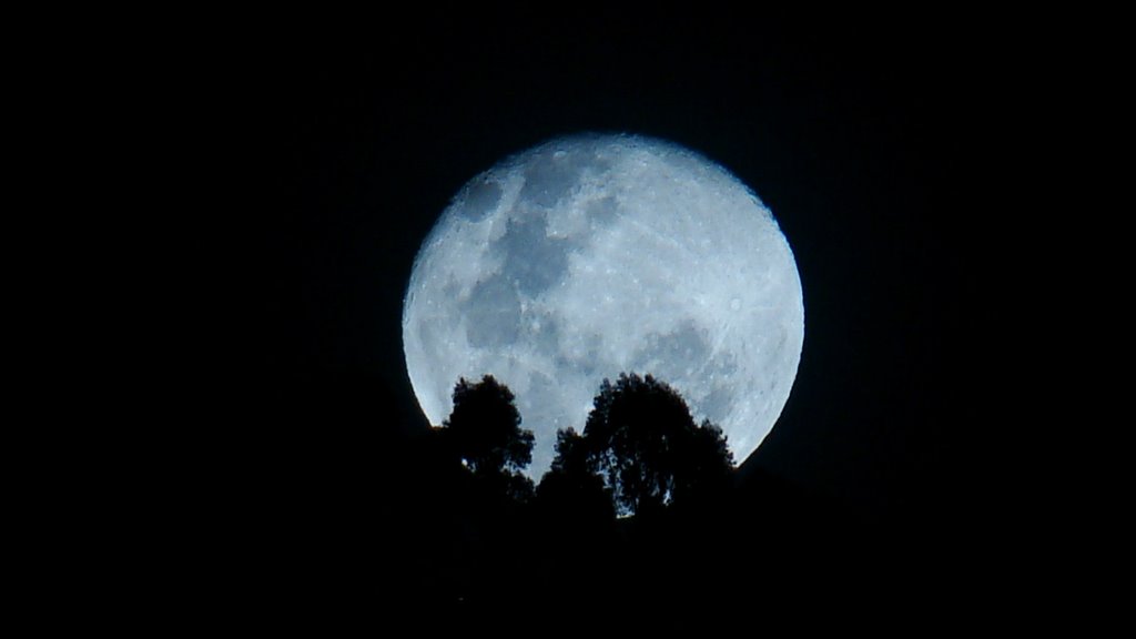 Hermosa luna by Ramiro Avila Mendoza