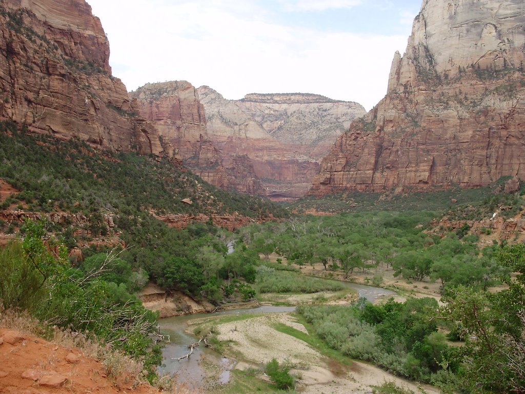 View from Middle Emerald Pools Trail by Cassygirl