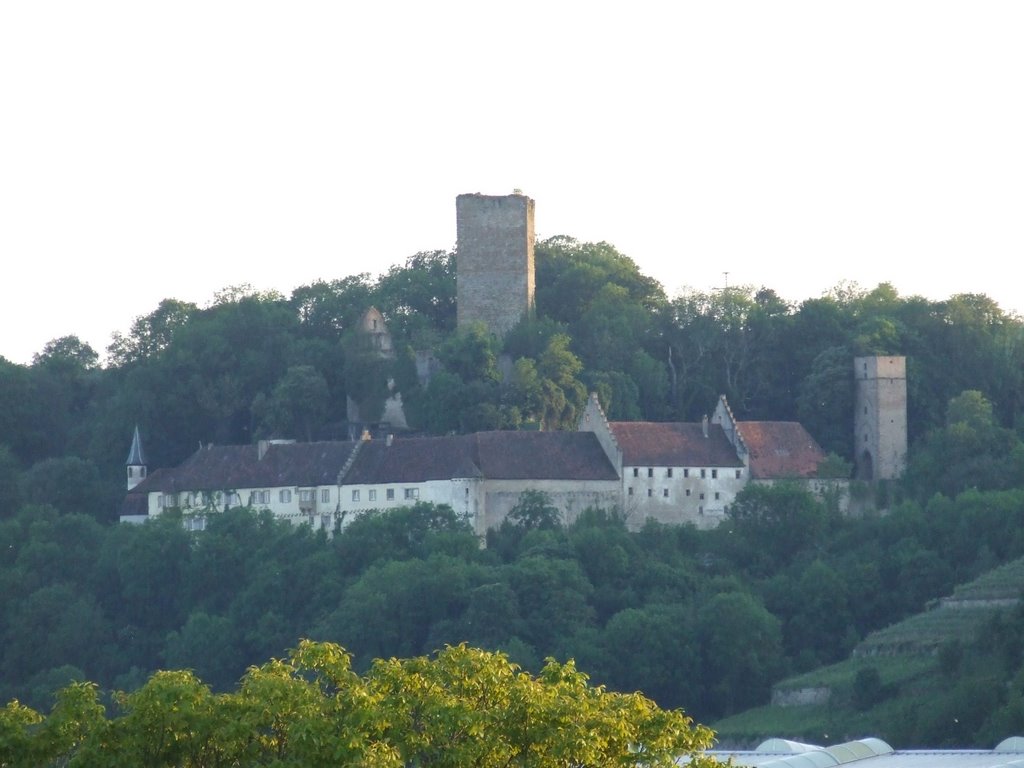 Burg Ehrenberg by G.Stotz