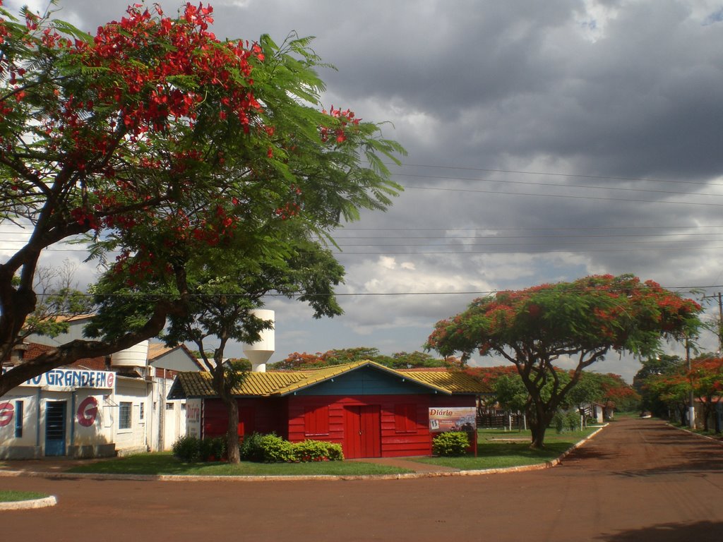 Flamboyant e casa vermelha - Dourados - Mato Grosso do Sul - Brasil by Paulo Yuji Takarada