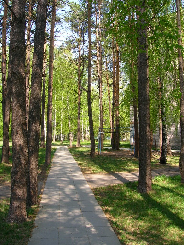 Russia, Novosibirsk Region, Koltsovo, Spring, The first greens / Россия, Новосибирская область, Кольцово, Весна, Первая Зелень by Vladimir Kharitonov