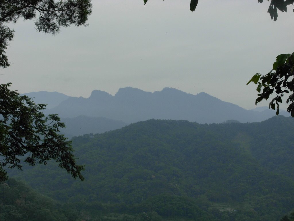 在大分林山遙望五指山 by s_rabbit