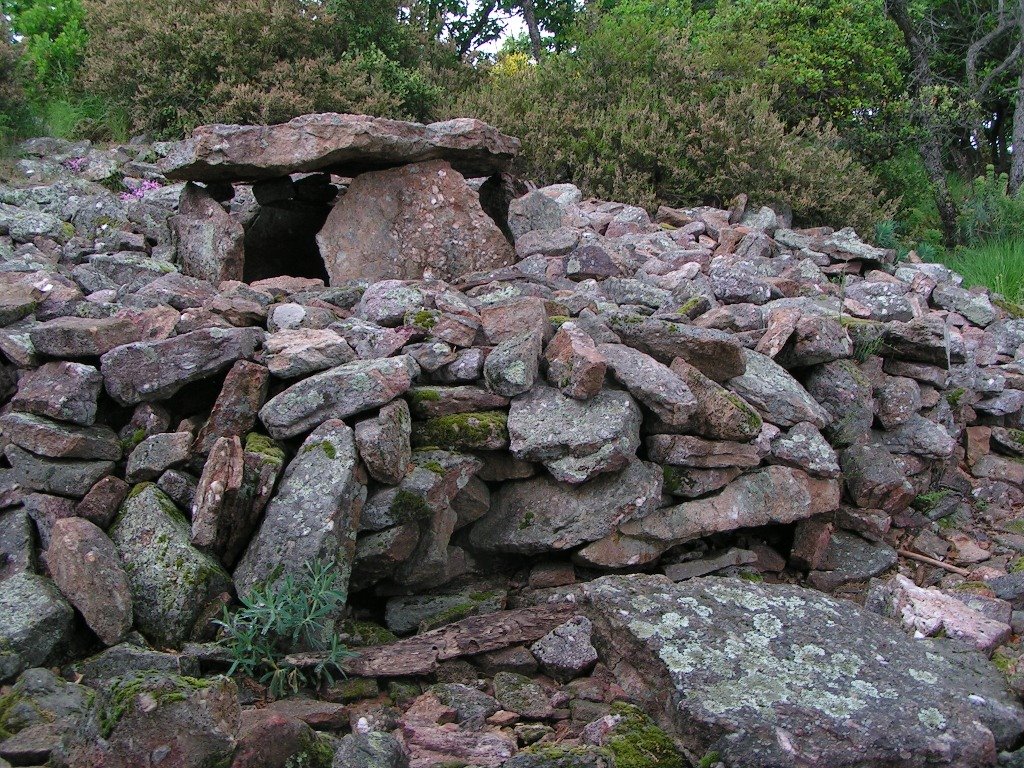 *Dolmen de la Claie-de-Driolle 3 dans une partie de son cairn by Hans Briaire