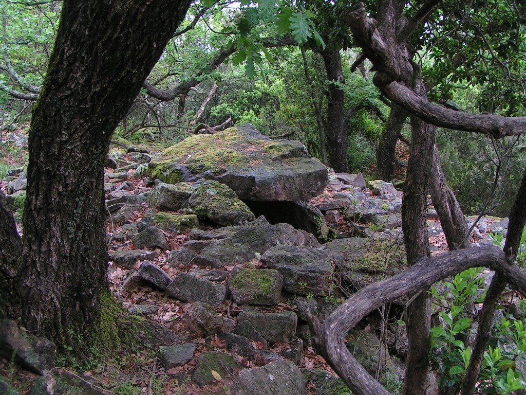 *Cairn de la Claie-de-Driolle 5 by Hans Briaire