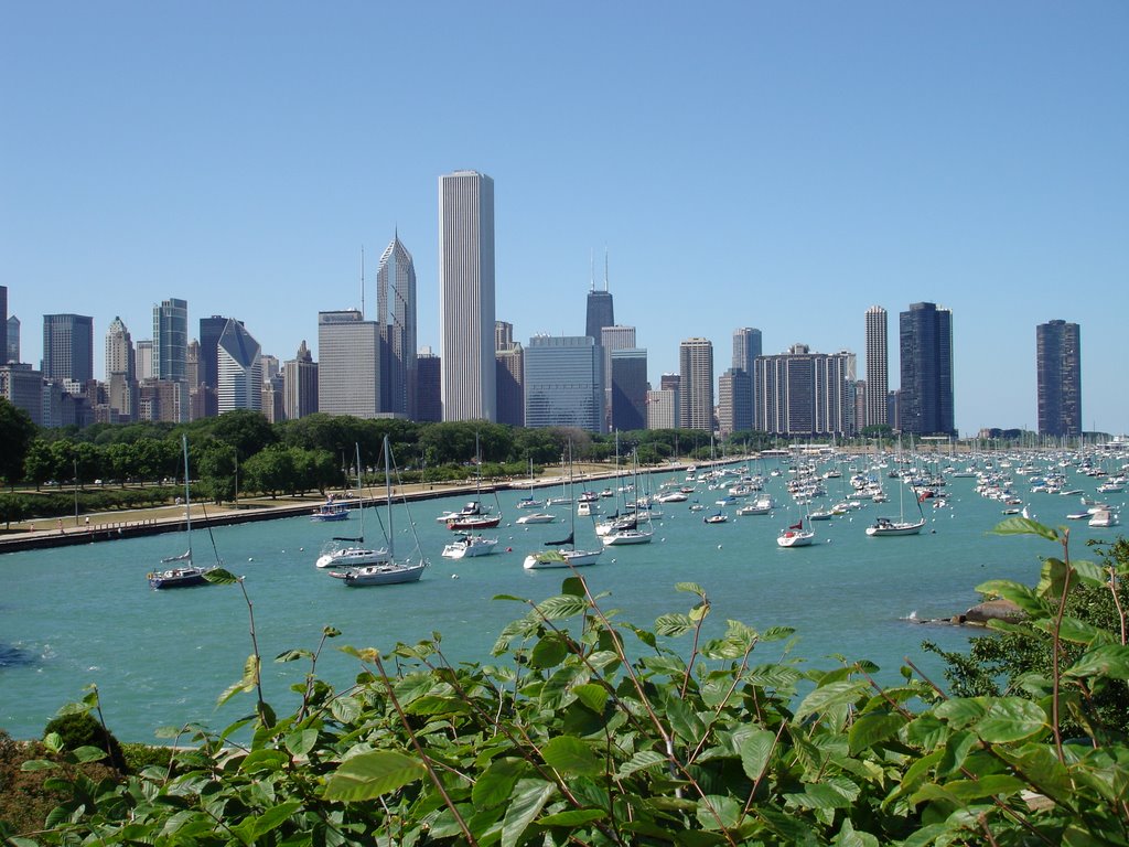 Chicago from the aquarium by Olaf