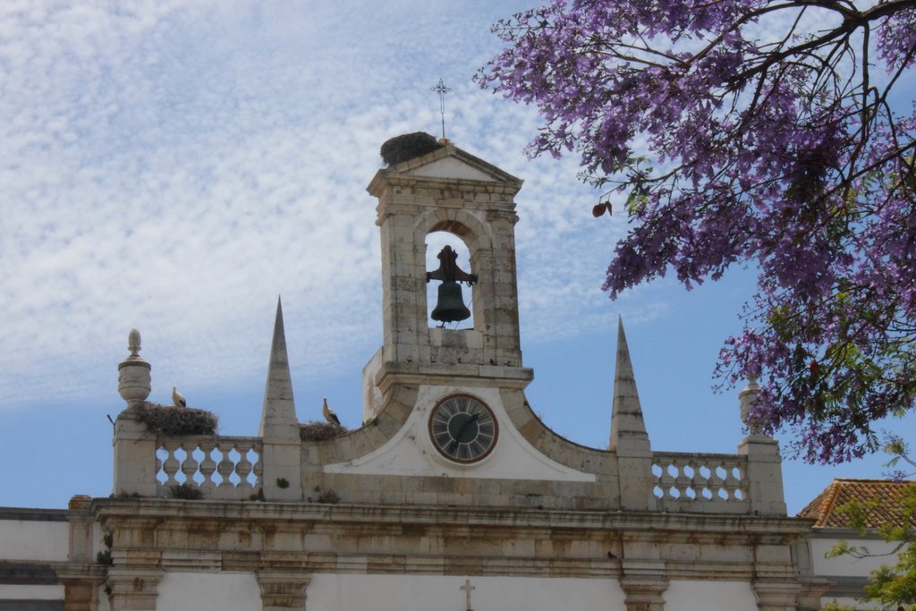 Faro, Portugal by Wolfgang B.