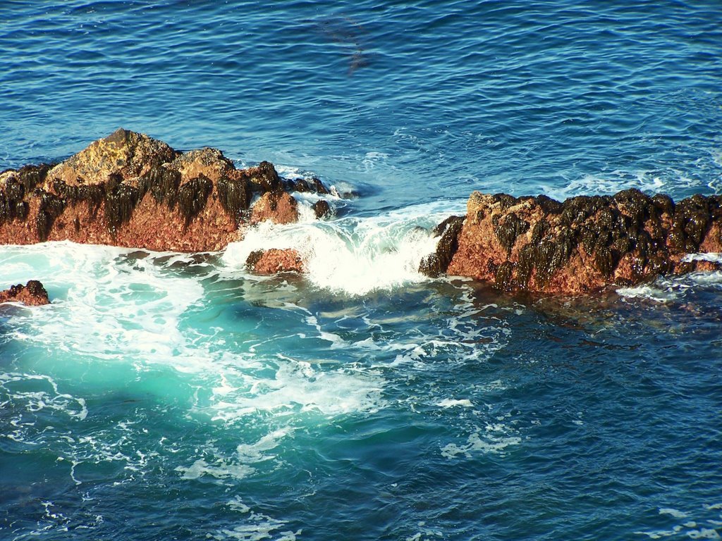 Point lobos by suds49