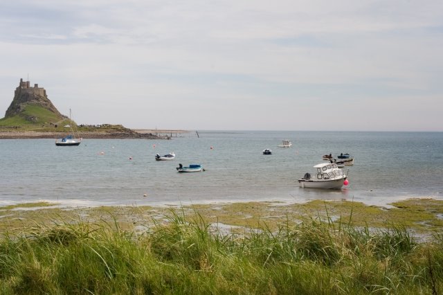 Lindisfarne May 09 by Debsphoto