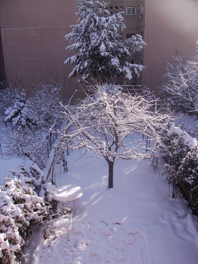 Jardin nevado 09-01-2009 by manu91