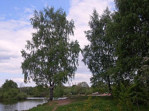 Strogino District, Moscow, Russia by Salma Essam