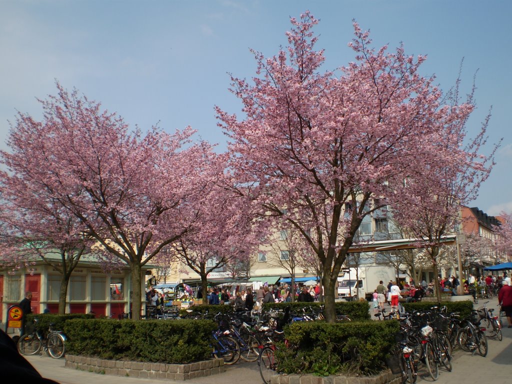 Enköpings torg by Tizzieh